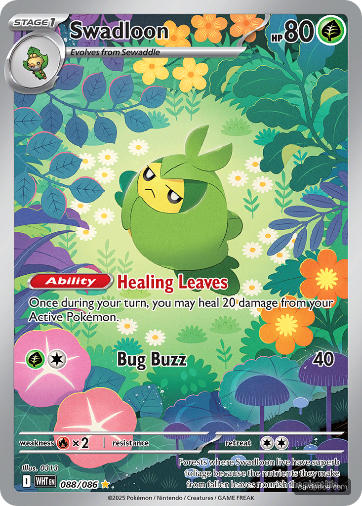 Swadloon — the most valuable Swadloon card