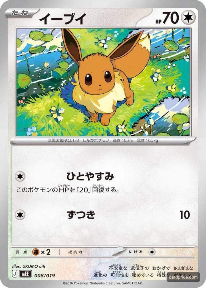 Eevee #8/19 Starter Set ex Eevee ex Pokémon card