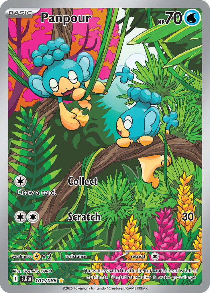 Panpour — the most valuable Panpour card