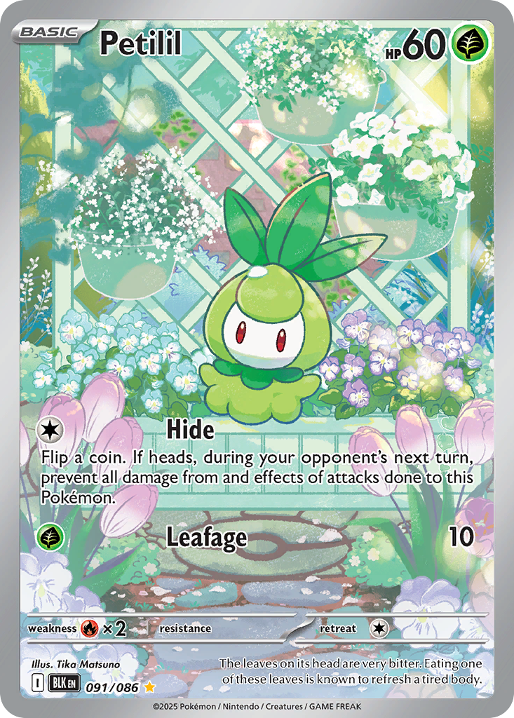 Petilil — the most valuable Petilil card