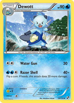 Dewott #29 Black & White