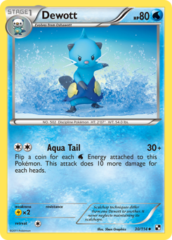 Dewott #30 Black & White