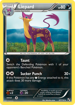 Liepard #67 Black & White