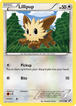 Lillipup #80 Black & White