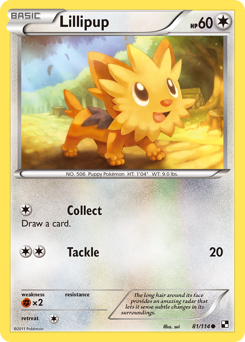 Lillipup #81 Black & White