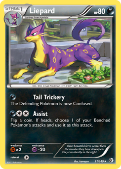Liepard #91 Boundaries Crossed