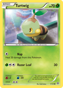 Turtwig Plasma Storm #1