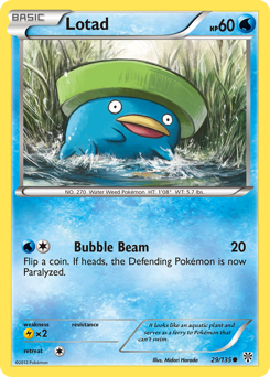 Lotad #29 PSA 10