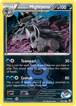 Team Aqua's Mightyena #18 PSA 10
