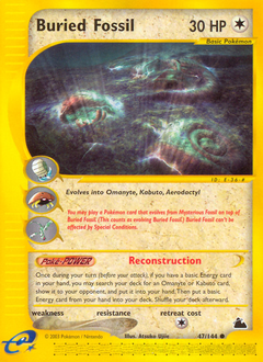 Buried Fossil #47 Skyridge