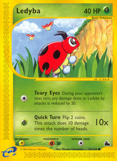 Ledyba #72 Skyridge