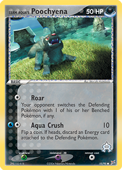 Team Aqua's Poochyena #55 Team Magma vs Team Aqua