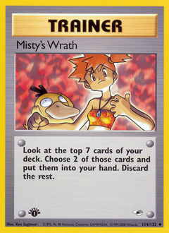 Misty's Wrath #114 PSA 10