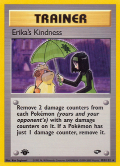 Erika's Kindness #103 Gym Challenge
