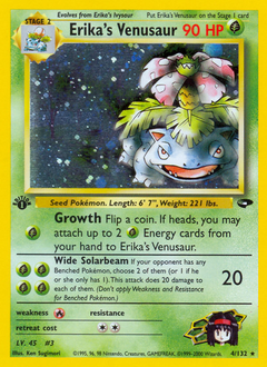 Erika's Venusaur Gym Challenge #4