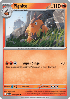 Pignite #30 Ascended Heroes