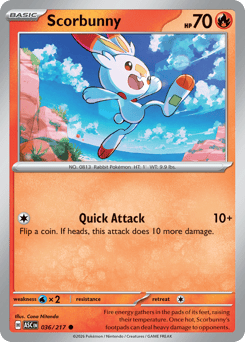 Scorbunny #36 Ascended Heroes