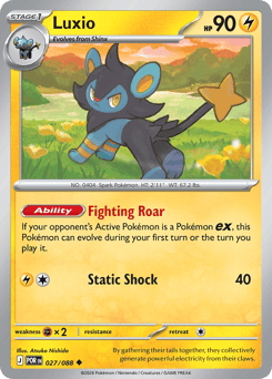 Luxio #27 Perfect Order