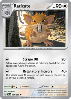 Raticate #61 Perfect Order