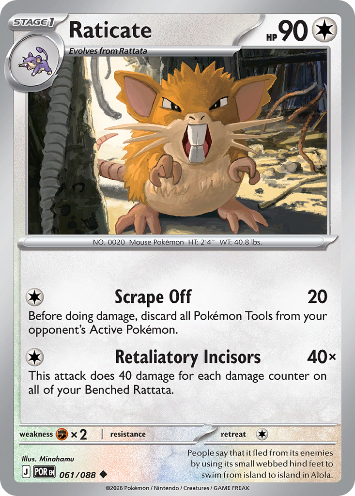 Raticate #61 Perfect Order