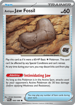 Antique Jaw Fossil #68 Perfect Order