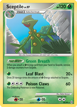 Sceptile #30 Arceus