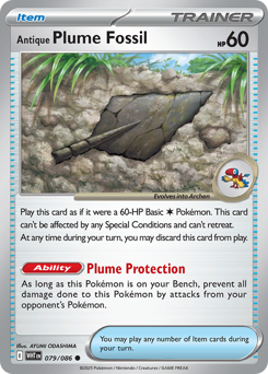 Antique Plume Fossil #79 White Flare