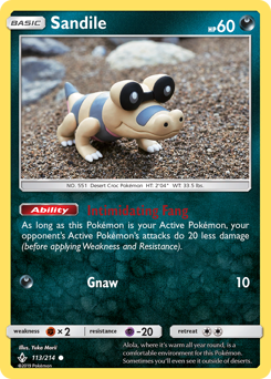 Sandile #113 Unbroken Bonds