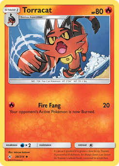 Torracat #28 Unbroken Bonds