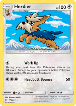 Herdier #175 PSA 10
