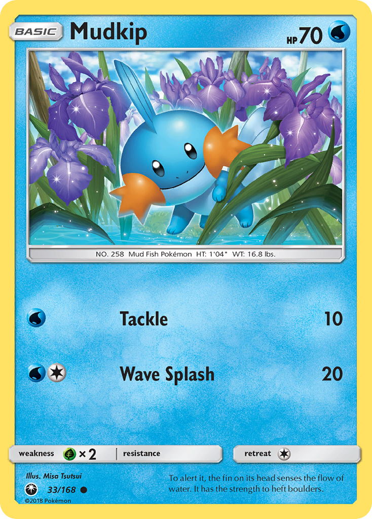 Mudkip #33 Celestial Storm