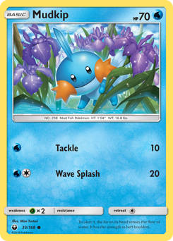 Mudkip #33 Celestial Storm