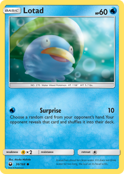 Lotad #36 Celestial Storm
