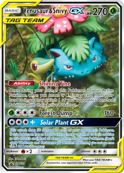 Venusaur & Snivy-GX #SM229 SM Black Star Promos