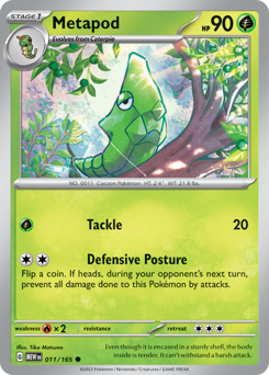 Metapod #11 151