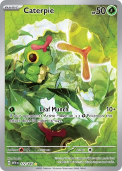 Caterpie #172 151