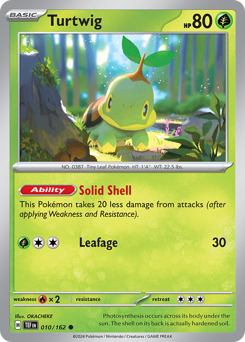 Turtwig #10 Temporal Forces