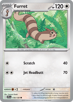Furret #119 Journey Together