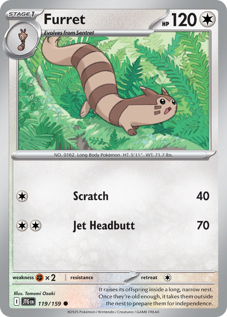 Furret #119 Journey Together