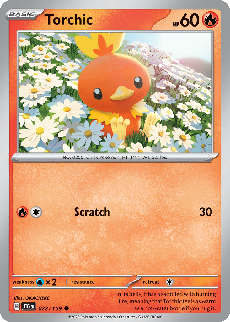 Torchic #22 Journey Together