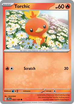 Torchic #22 Journey Together