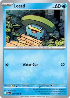 Lotad #35 Journey Together