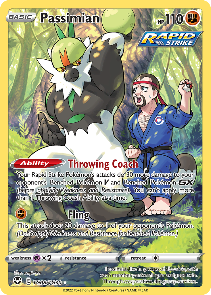 Passimian #TG08 Silver Tempest Trainer Gallery
