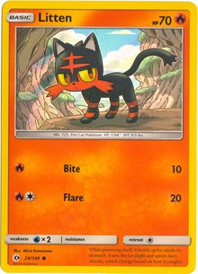 Litten #24 Miscellaneous Cards & Products