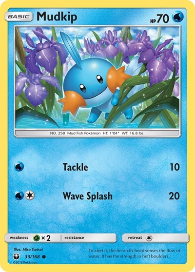 Mudkip #33 SM - Celestial Storm