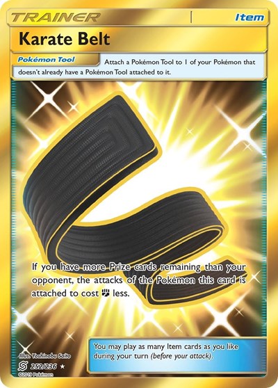 Karate Belt #252 SM - Unified Minds