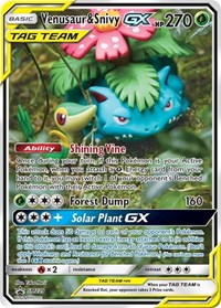 Venusaur & Snivy GX #SM229 SM Promos