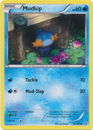 Mudkip Miscellaneous Cards & Products #33