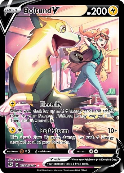 Boltund V #TG13 Brilliant Stars Trainer Gallery