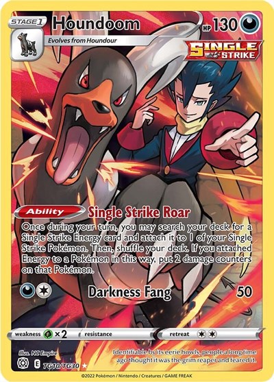 Houndoom #TG10 Brilliant Stars Trainer Gallery